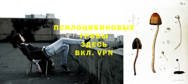 a pvp Беломорск