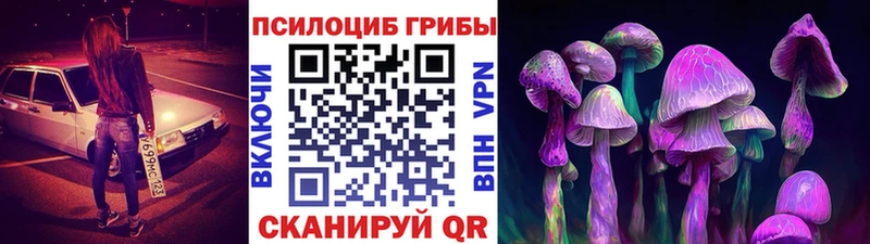 Псилоцибиновые грибы Psilocybine cubensis  наркошоп  ОМГ ОМГ ТОР  Тихвин 